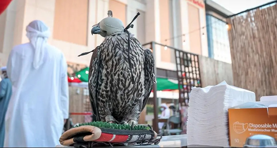 Food, falcons, and fun: Deerfields Mall marks 51st National Day with traditional activities