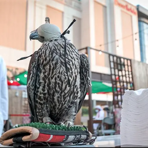 Food, falcons, and fun: Deerfields Mall marks 51st National Day with traditional activities