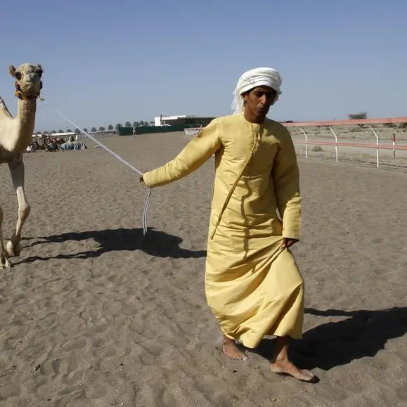 Camel dung fuels cement production in northern UAE