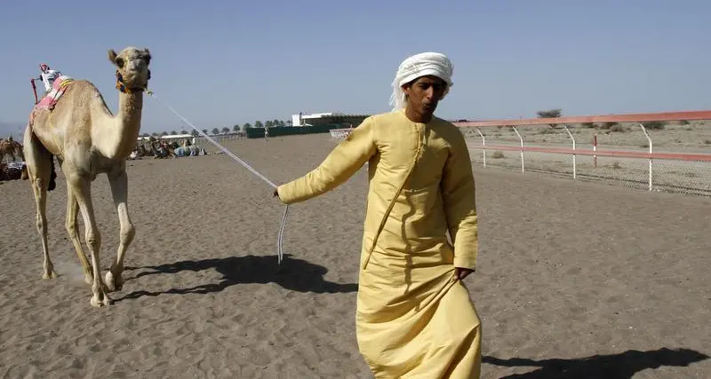 Camel dung fuels cement production in northern UAE