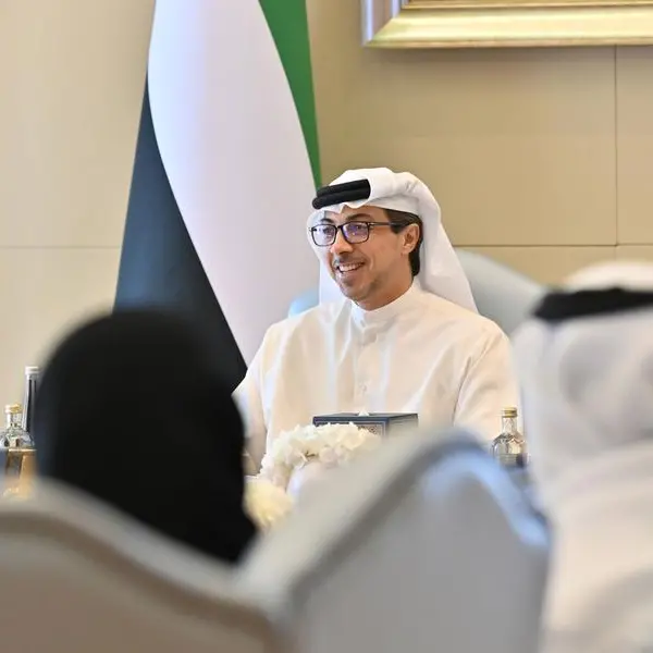 Mansour bin Zayed chairs Ministerial Development Council meeting on initiatives and government legislations