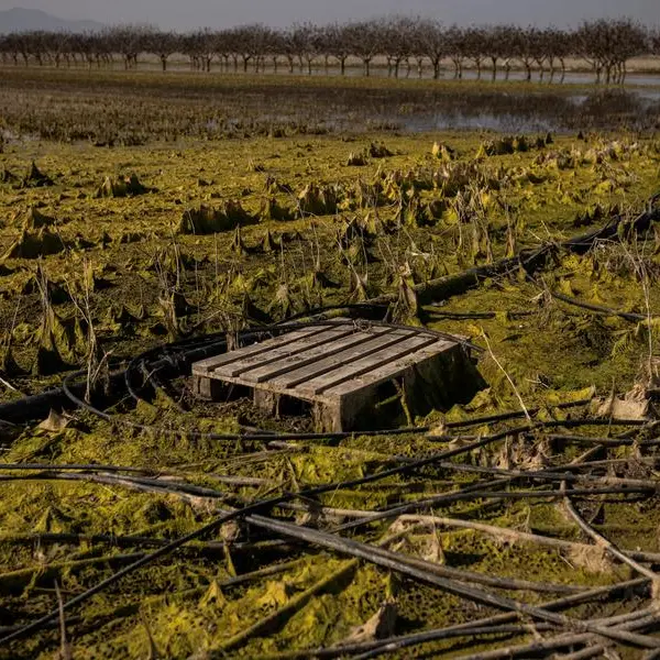 Flooded Greek lake a warning to European farmers battling climate change