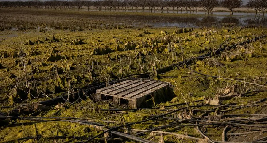 Flooded Greek lake a warning to European farmers battling climate change