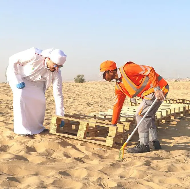 Dubai attracts 4,791 volunteers in first half of 2023 to maintain clean and sustainable environment