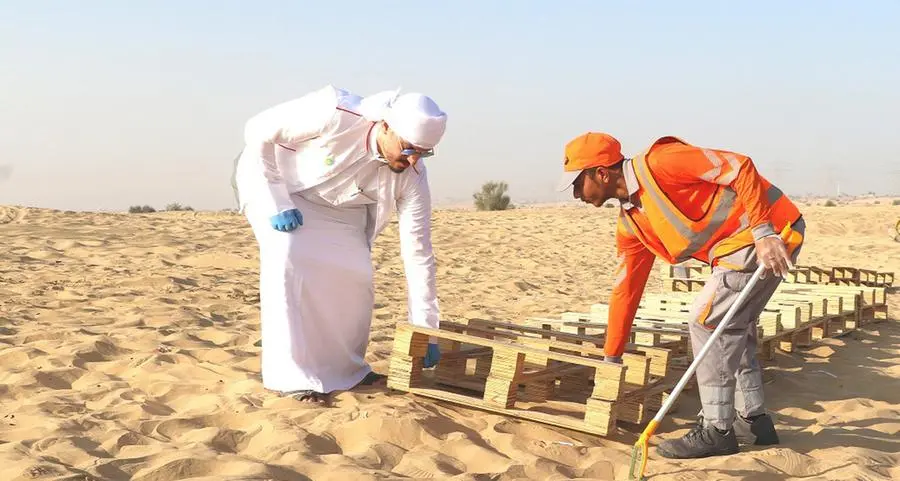 Dubai attracts 4,791 volunteers in first half of 2023 to maintain clean and sustainable environment