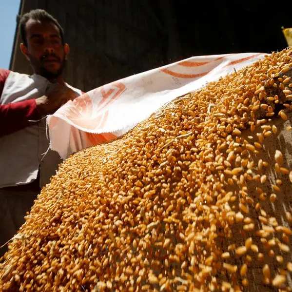 Wheat hovers around 6-month low, corn and soy ease