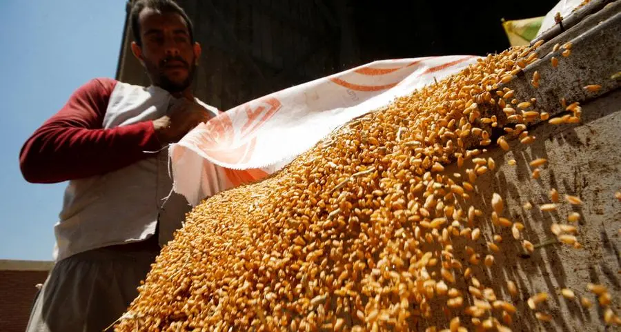 Wheat hovers around 6-month low, corn and soy ease