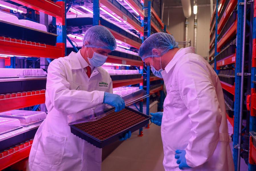 Dubai: World's largest vertical farm opened, uses 95% less water