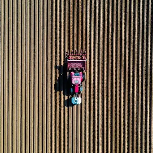 France raises maize crop estimate again