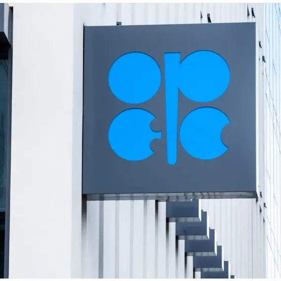 OPEC oil output rises for second month in June, Reuters survey finds