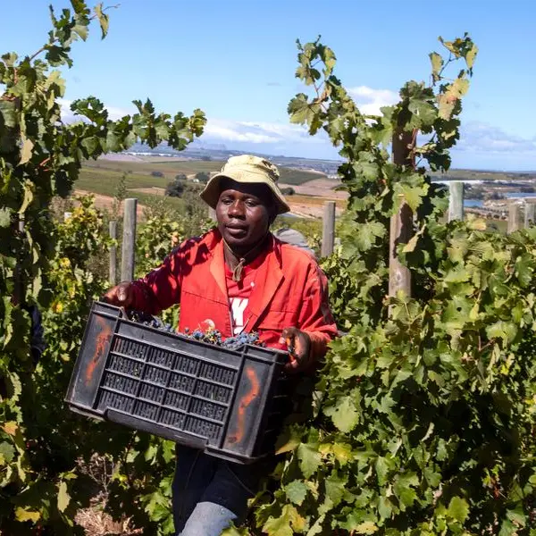 Sustaining the agricultural engine in South Africa