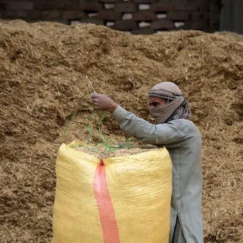 Pakistan gets offers in 400,000 tonne wheat tender - trade