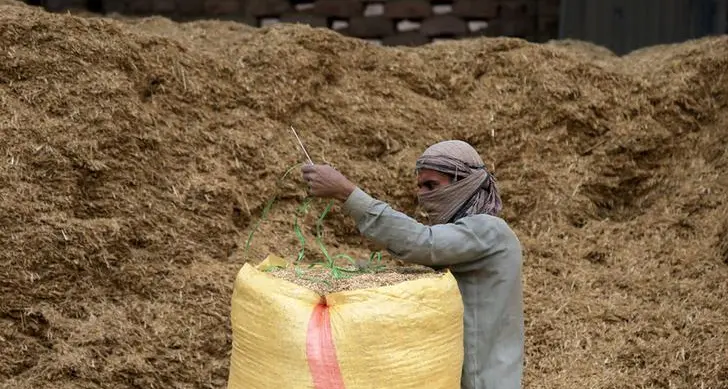 Pakistan gets offers in 400,000 tonne wheat tender - trade