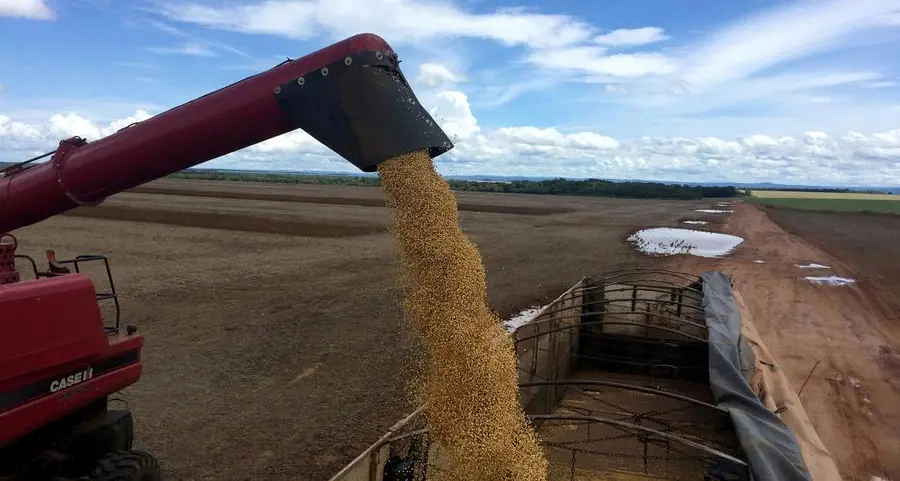 Soybeans, corn fall as Brazil expected to get more rain