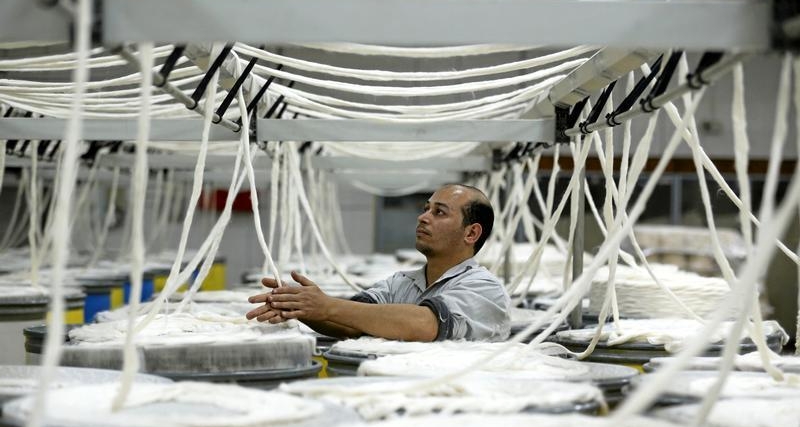 Egypt to build textile free zone, MEA’s first feed manufacturing complex