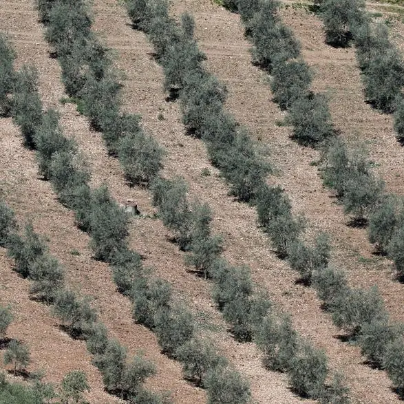 Southern Europe braces for climate change-fuelled summer of drought