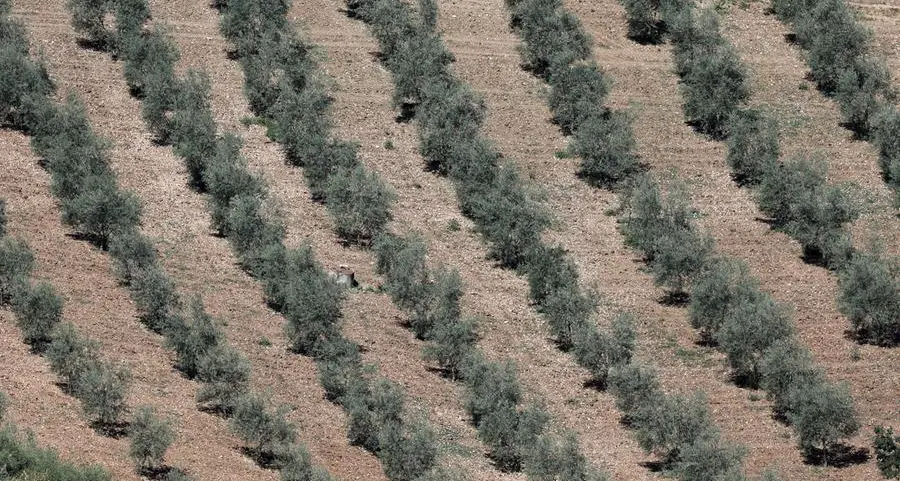 Southern Europe braces for climate change-fuelled summer of drought