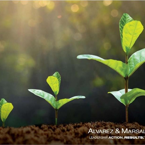 As global banks are gearing up to adopt ESG models, the next big step is sustainable finance says Alvarez & Marsal