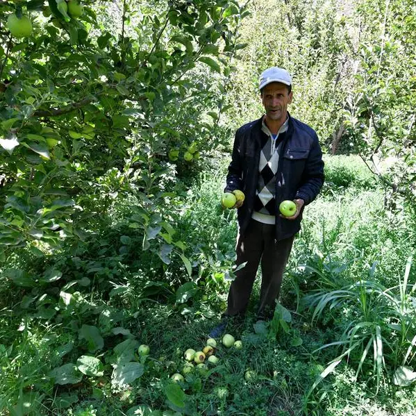 'Worst enemy': Morocco quake brings new hardships for farmers