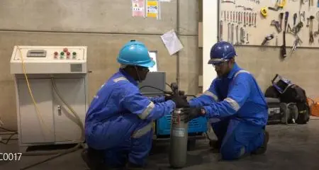 Dolphin Marine Group participates at DIBS 2019