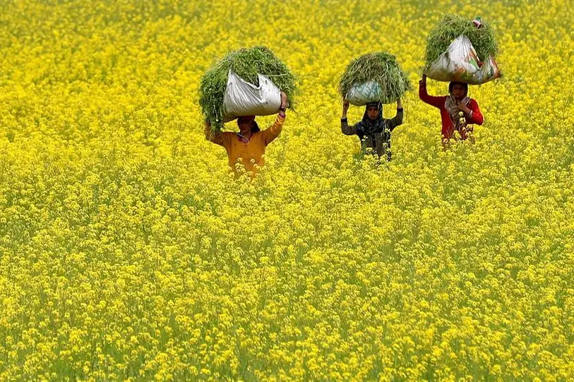 Reuters