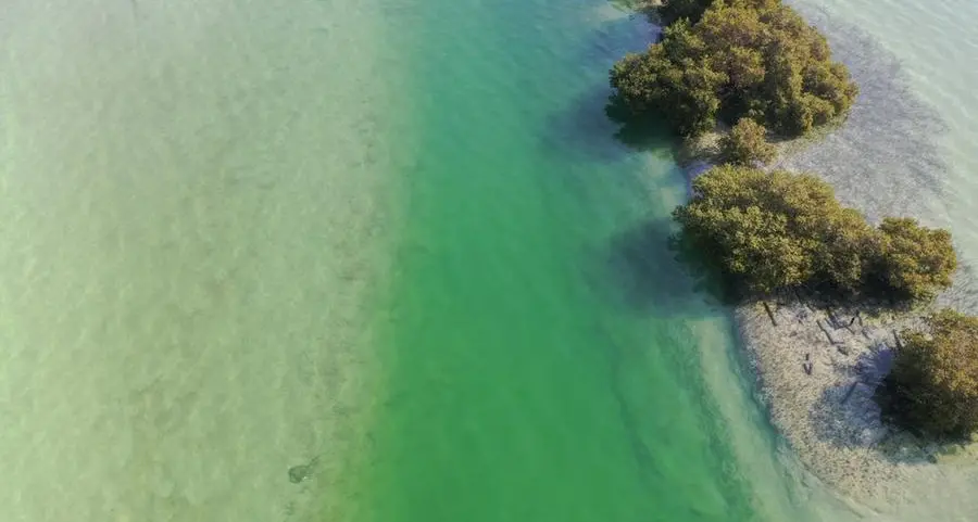 New UAE study calls for greater protection of coastal lagoons to secure long-term benefits for climate, biodiversity and economy