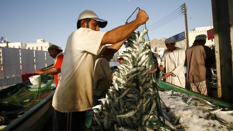 $62mln seafood canning plant construction begins in Oman\n