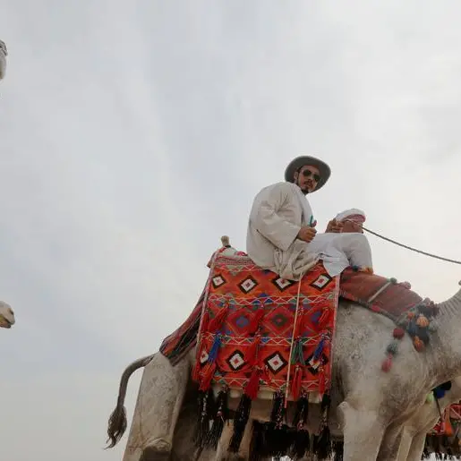 Top Egyptian travel company sees sector recovering as tourists return