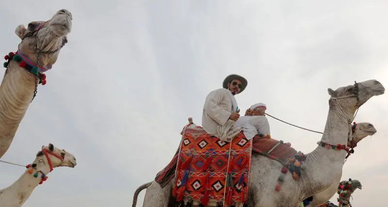 Top Egyptian travel company sees sector recovering as tourists return