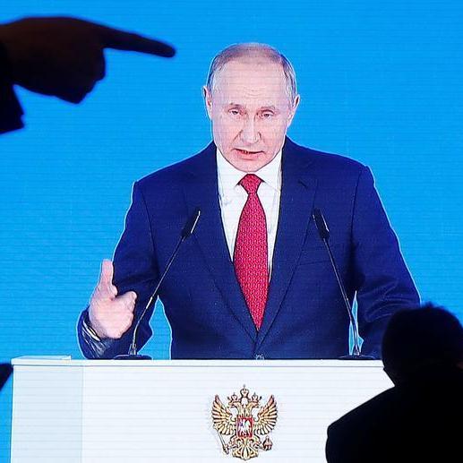 Austrian leader starts meeting with Putin on Moscow trip: media
