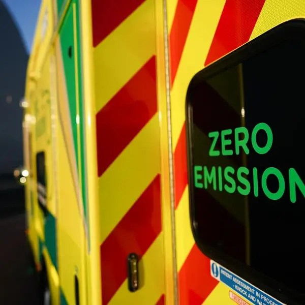 US House committee report finds Wall Street 'colluded' to curb emissions