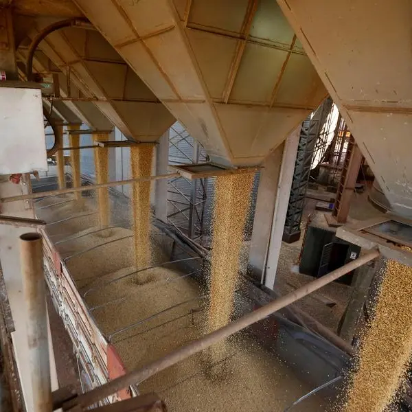 Will corn bulls' January win come back to bite them? - Braun