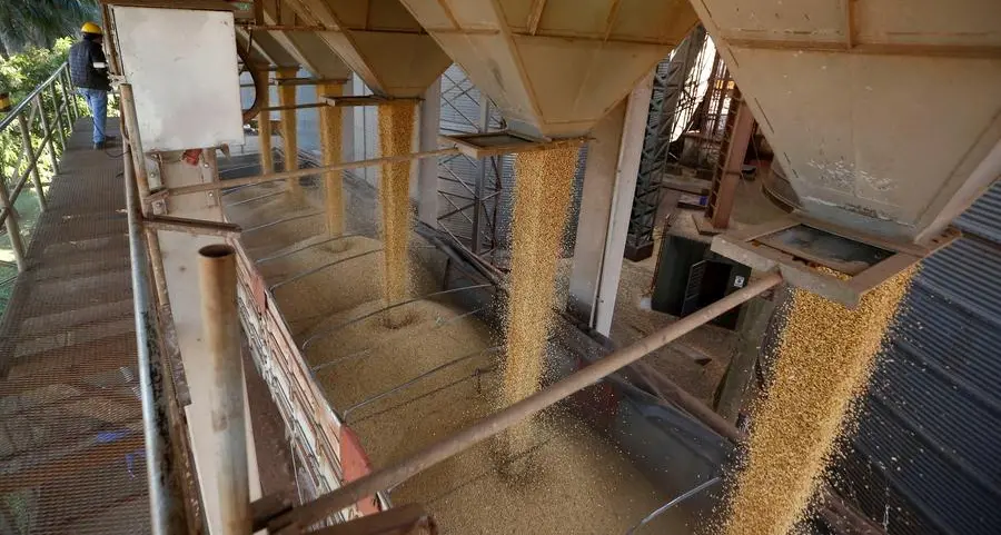 Will corn bulls' January win come back to bite them? - Braun