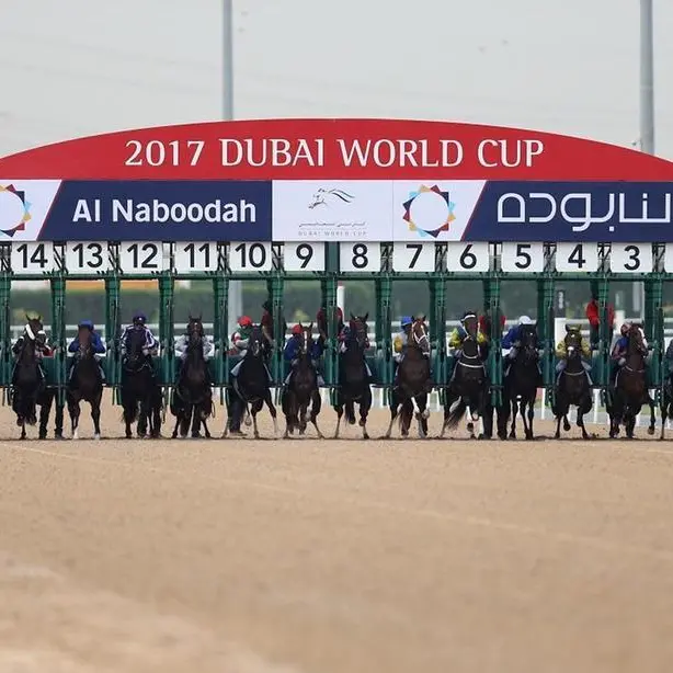 Watson would trade trainer's title for victory on Dubai World Cup night