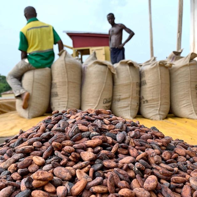 Global cocoa market seen balanced in 2022/23, prices to edge up
