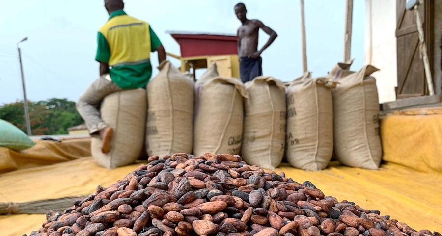 Global cocoa market seen balanced in 2022/23, prices to edge up
