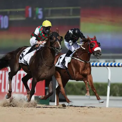 Jebel Ali hosts cracking card with Dubai World Cup implications