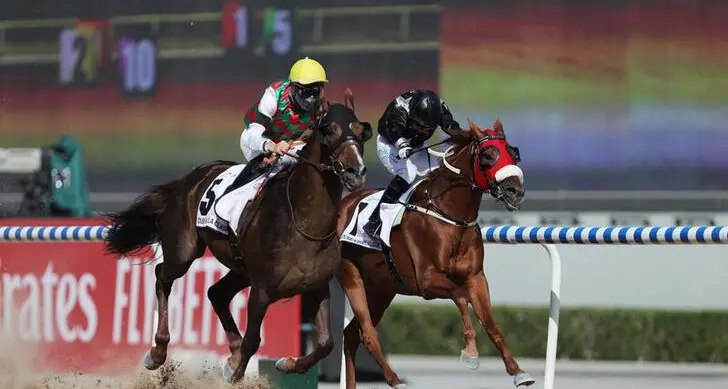 Jebel Ali hosts cracking card with Dubai World Cup implications