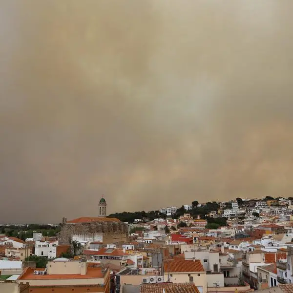 Wildfire on French-Spanish border destroys 1,000 hectares