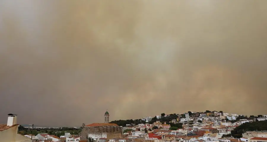 Wildfire on French-Spanish border destroys 1,000 hectares