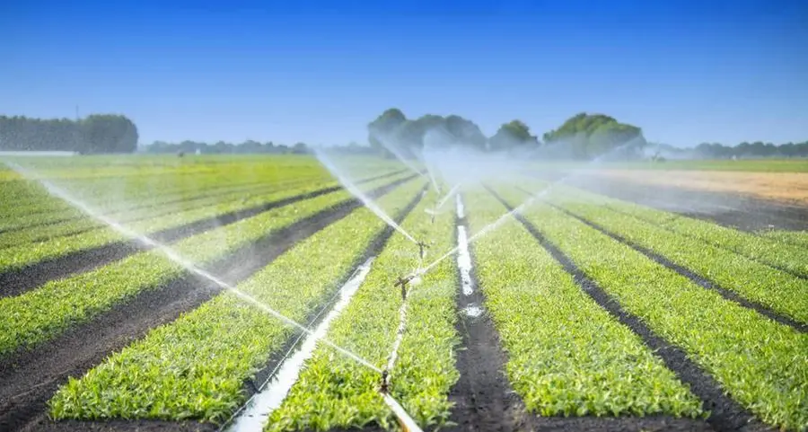 Arthur D. Little: Water as an Economic Driver for GCC Resilience