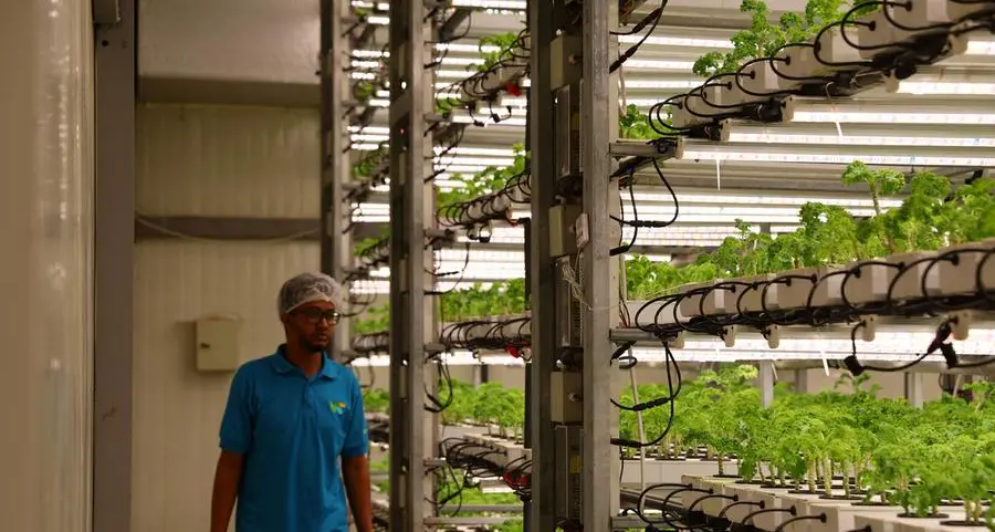 Vertical farming startup Plenty to expand via $680mln JV with UAE's Mawarid