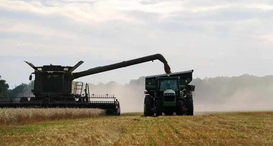 Soybeans fall on absent China demand; corn down on record crop
