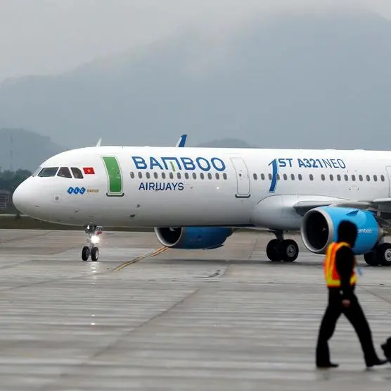 Vietnam's Bamboo Airways has funds frozen over tax payment - media