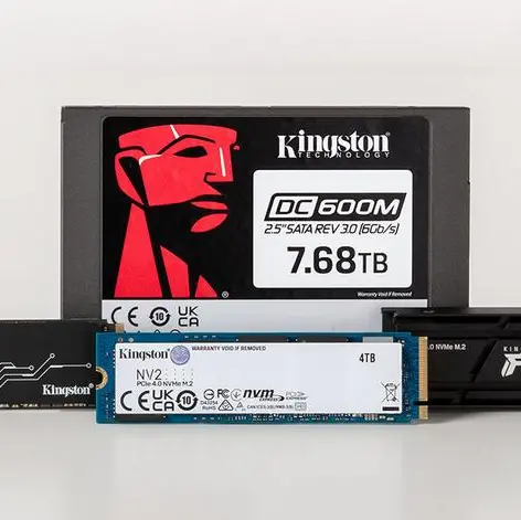 Kingston Technology tops channel SSD market share for 2023