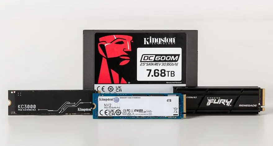 Kingston Technology tops channel SSD market share for 2023