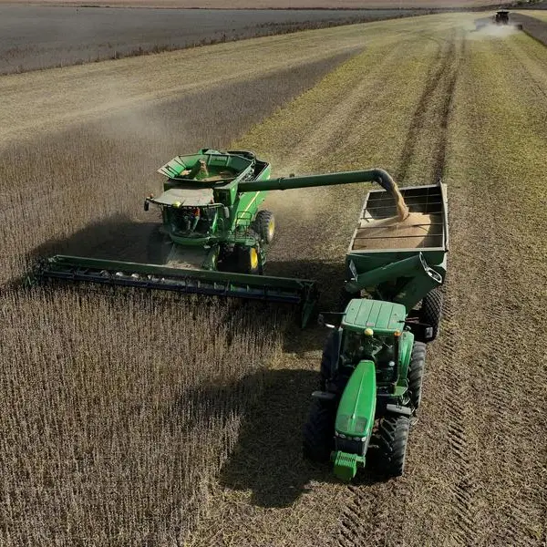 Soybeans firm after deep losses; lack of Chinese demand curbs upside