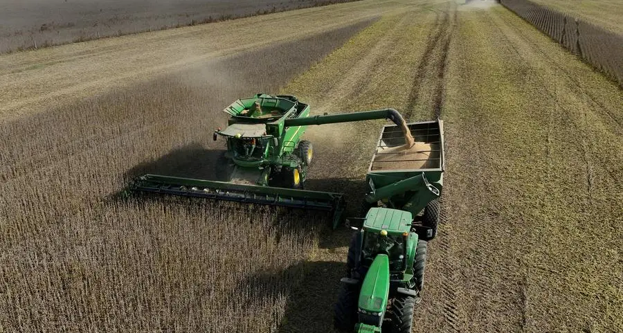 Soybeans firm after deep losses; lack of Chinese demand curbs upside