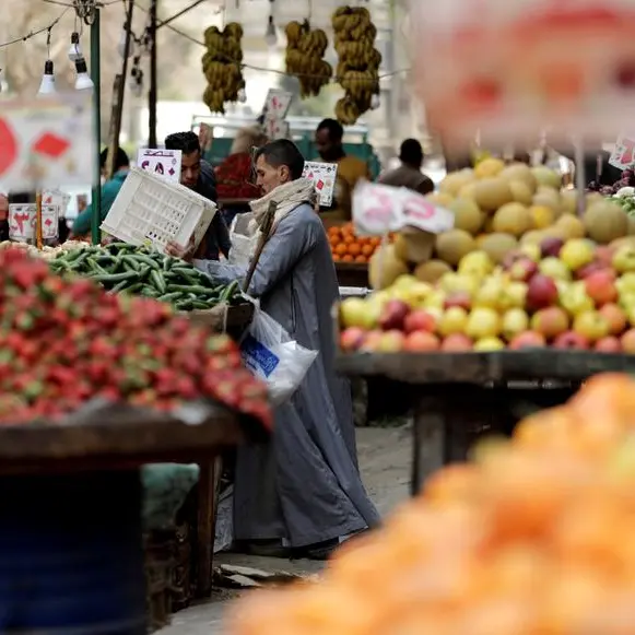 Egypt ensures food security amid global trade challenges