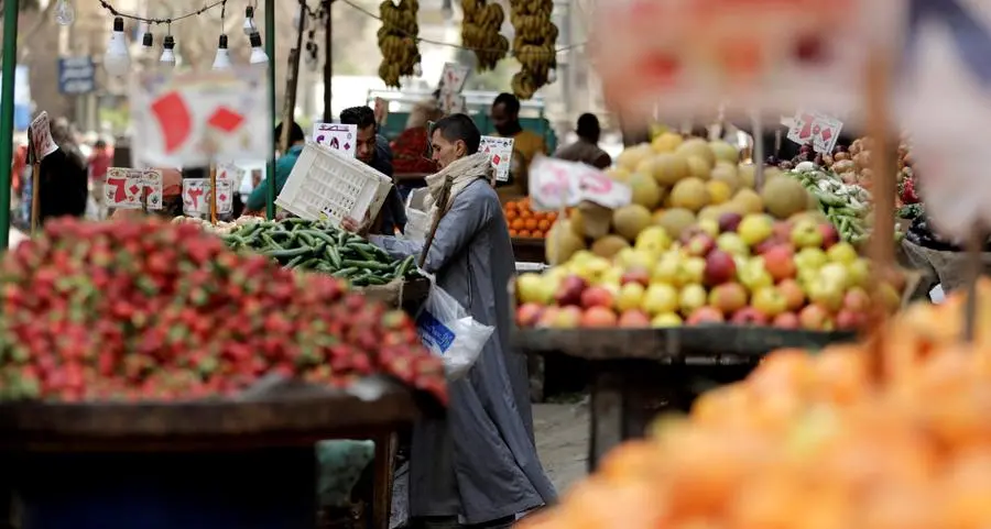 Egypt ensures food security amid global trade challenges